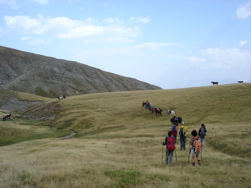 trekking con i muli-5.jpg